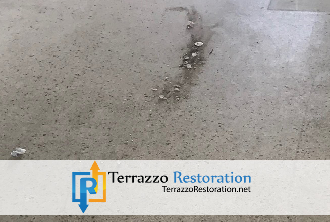 Terrazzo Restoration