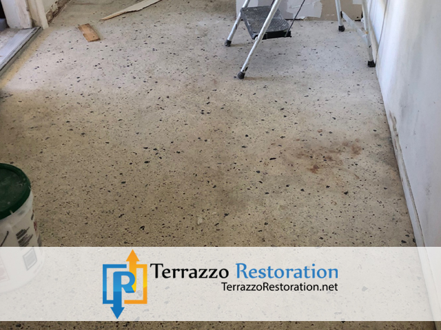 Terrazzo Restoration